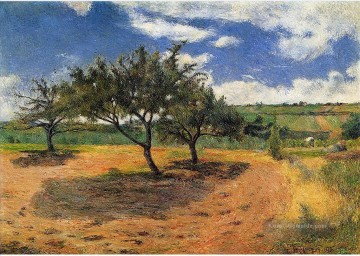 Apfelbäume in Blüte Beitrag Impressionismus Primitivismus Paul Gauguin Ölgemälde